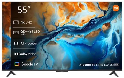 Xiaomi S Mini 55" Gri Închis