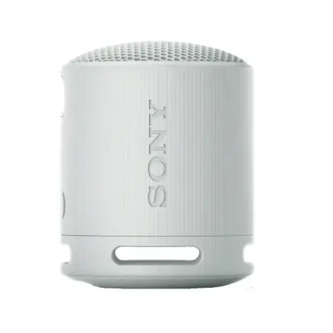 Sony SRS-XB100H Gri