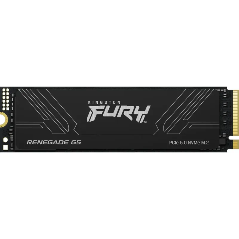 Kingston Fury Renegade G5 1TB 740617349481