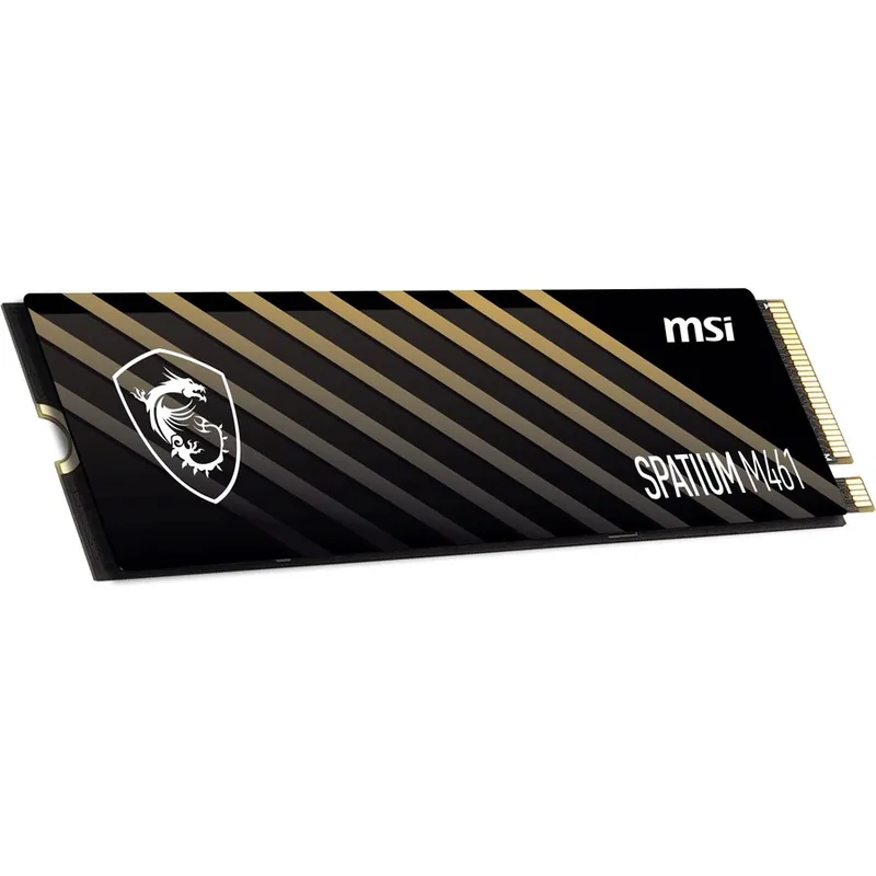 MSI Spatium M461 1TB S78-440L1D0-P83