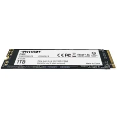 Patriot P300 1TB