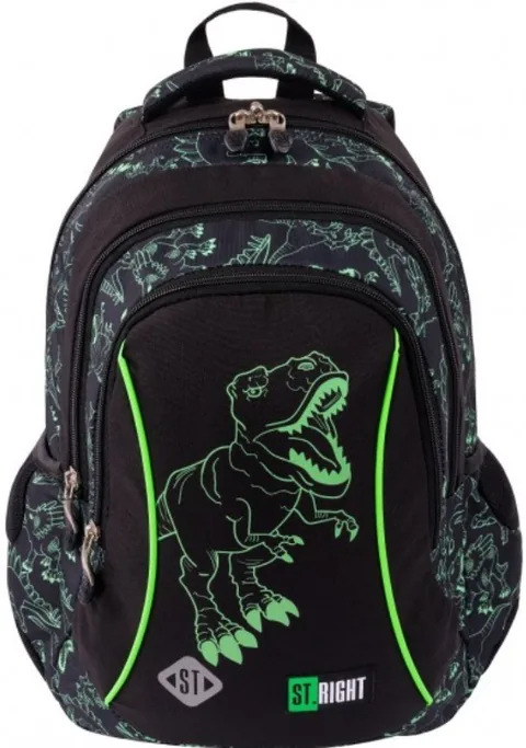 St. Right Reflective T-Rex