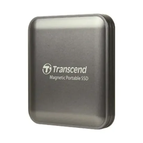 Transcend ESD420G 1TB Gri 4262371